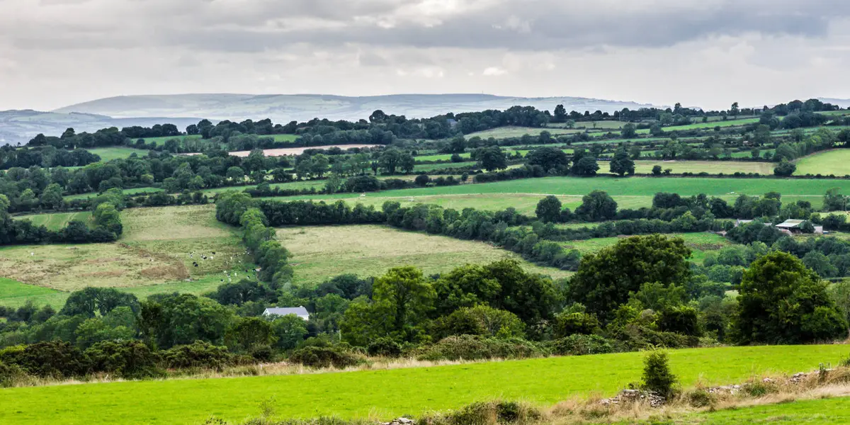 Castlecomer - Ardra Loop