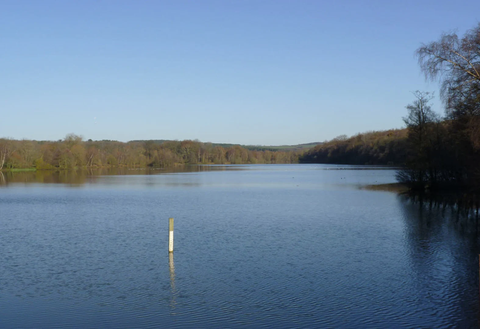 An image depicting the trail Moorgreen Reservoir Walk and its surrounding area.