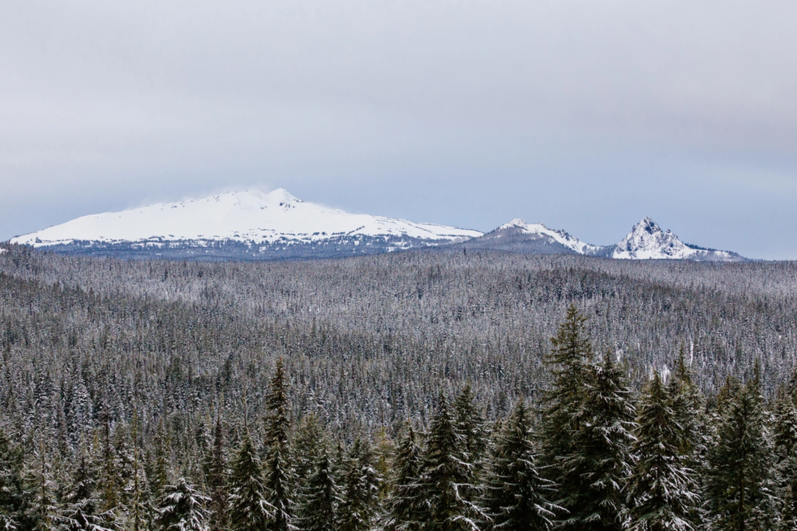 An image depicting the trail Diamond Peak Tie Trail via Vivian Lake Trail and its surrounding area.