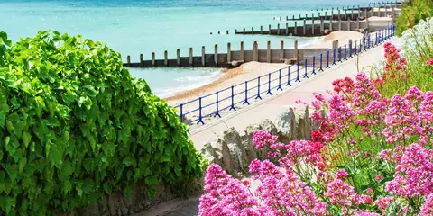Beach Walk at Holywell