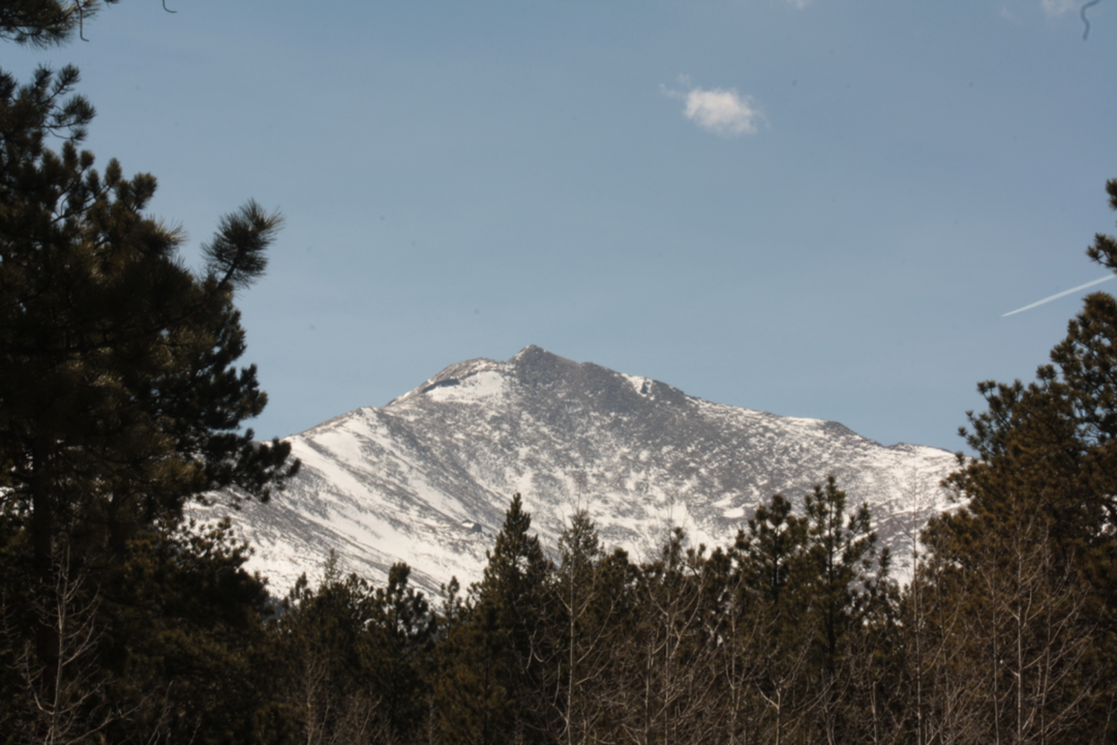 An image depicting the trail Meaker Park Sandbeach Cutoff Trail and its surrounding area.