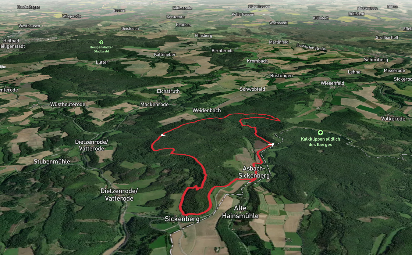 Rachelsberg and Dietzenroeder Stein via Werra Burgen Steig