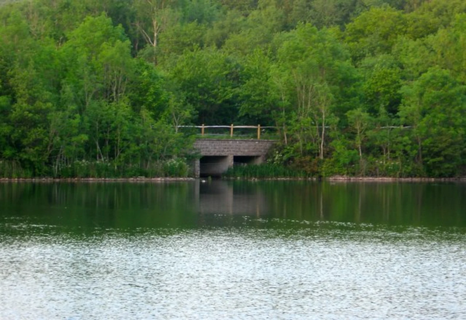 An image depicting the trail Ardingly Reservoir Loop from Balcombe and its surrounding area.