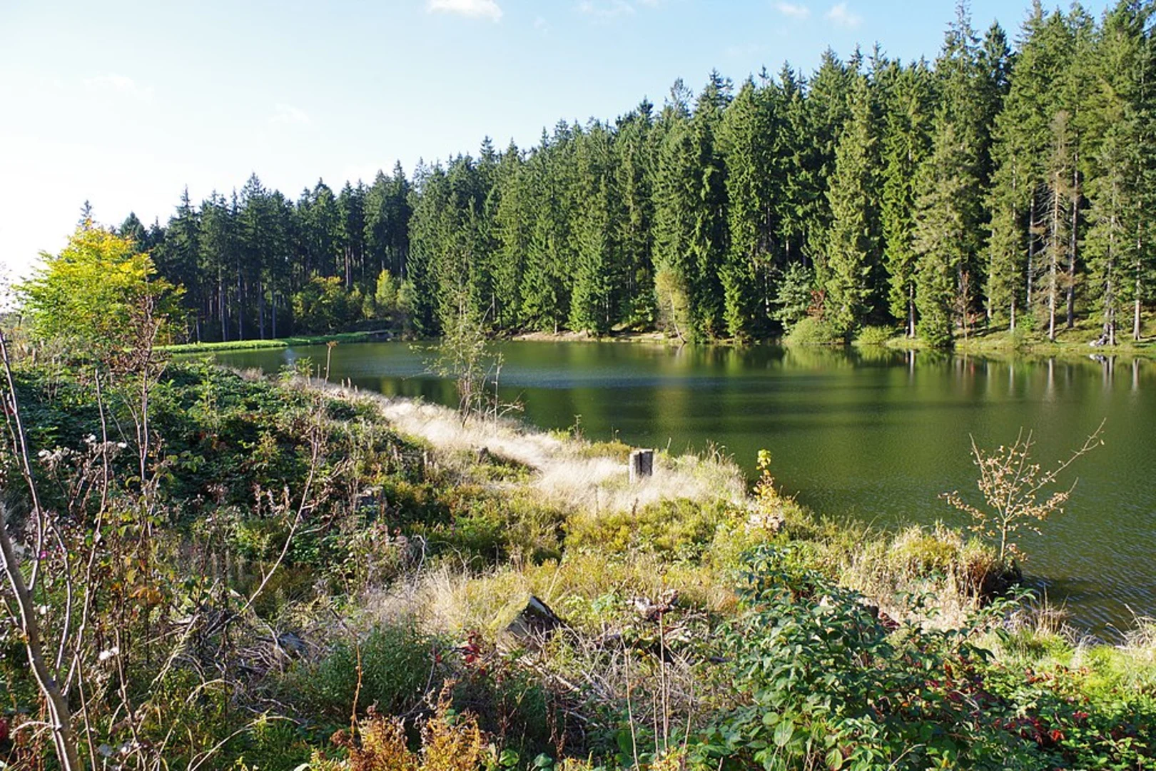 An image depicting the trail Grumbacher Teich Loop from Bockswiese and its surrounding area.