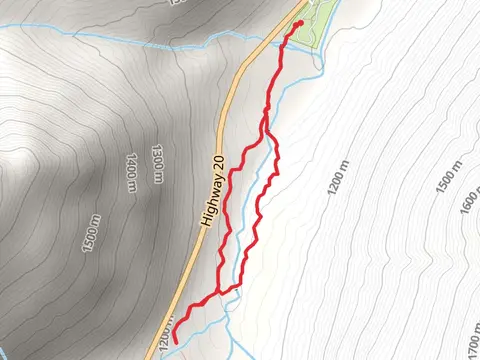 Lone Fir Interp Trail