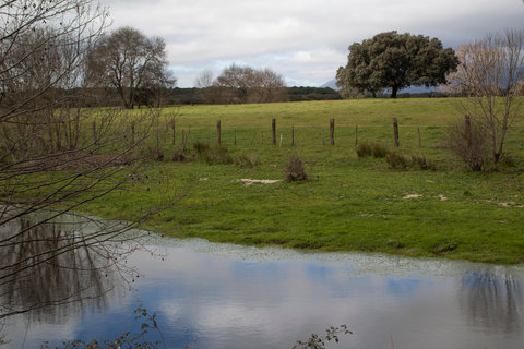 Prinsenberg, Oostduinen and Vlietland Loop