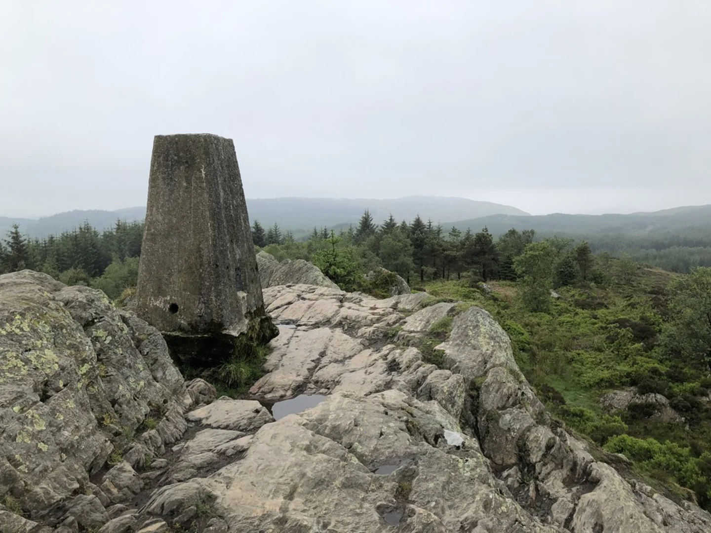 An image depicting the trail Grizedale Northern Circular Walk and its surrounding area.