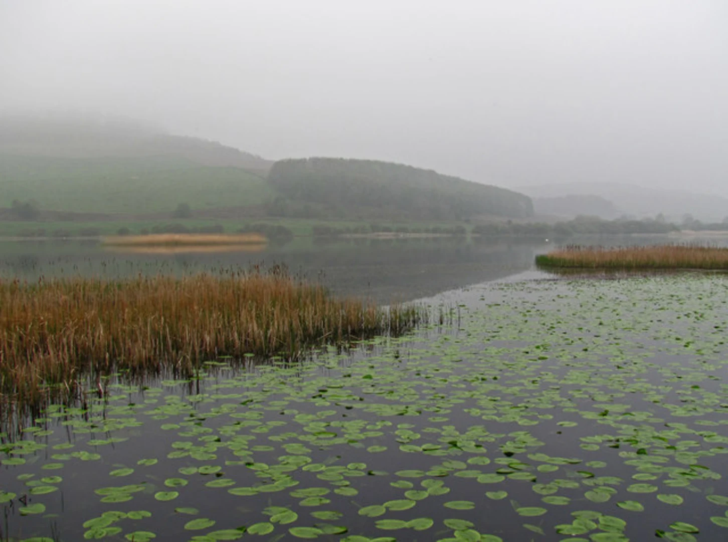 An image depicting the trail Lindores Loch and Dunbog and its surrounding area.