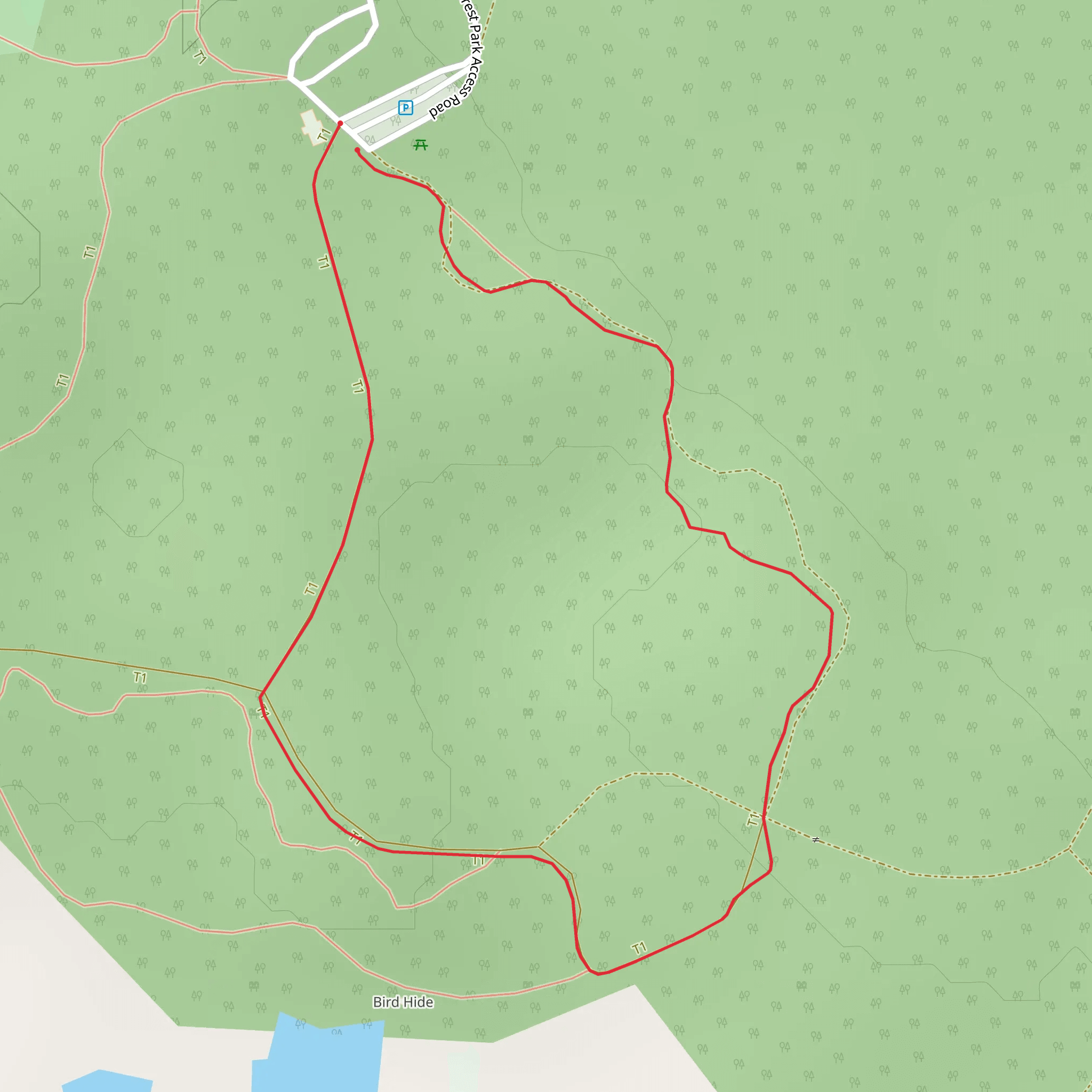 Portumna Forest Park - Forest Friendly Walking Trail mobile static map