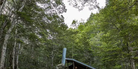 An image depicting the trail Mt Crichton Loop Track and its surrounding area.
