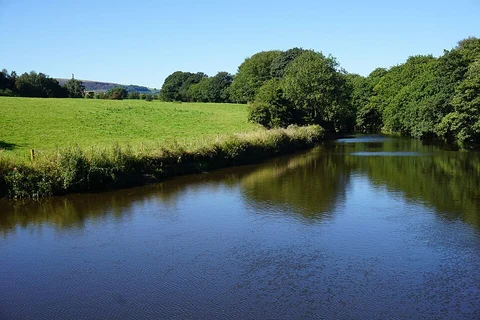 An image depicting the trail Burrs Country Park Loop and its surrounding area.
