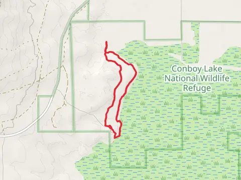 Willard Spring Loop Trail