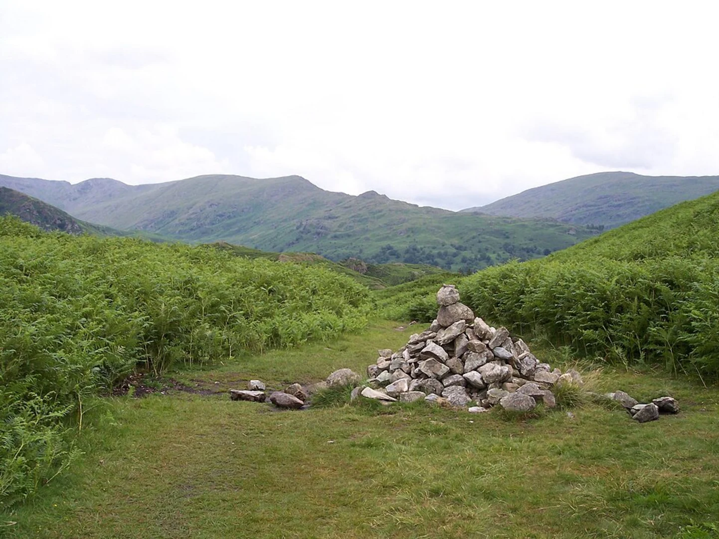 An image depicting the trail Rydal Water, Steps End Wood, Loughrigg Fell and Deerbolts Wood Loop and its surrounding area.