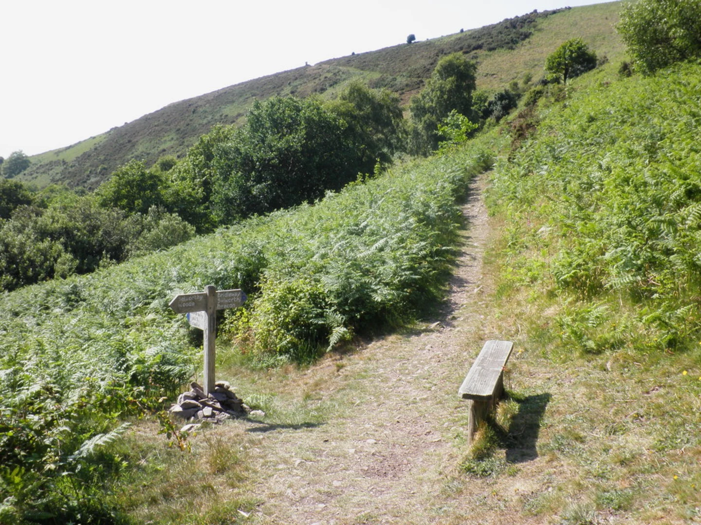 An image depicting the trail Selworthy Beacon Loop - Selworthy and its surrounding area.