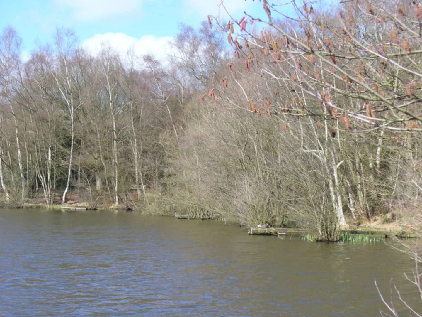 An image depicting the trail Slaugham Mill Pond and Furnace Pond Loop and its surrounding area.