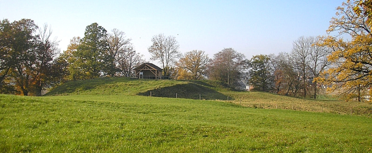 Trinkborn and Rottenberg Loop