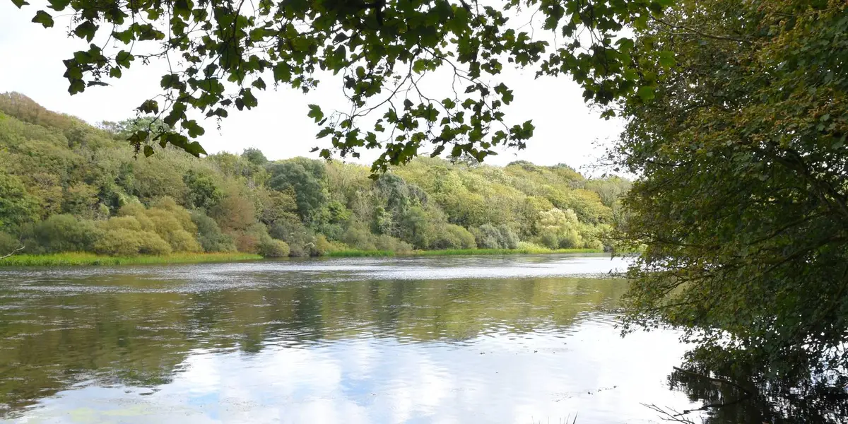 Bosherston Lily Ponds from Broad Haven