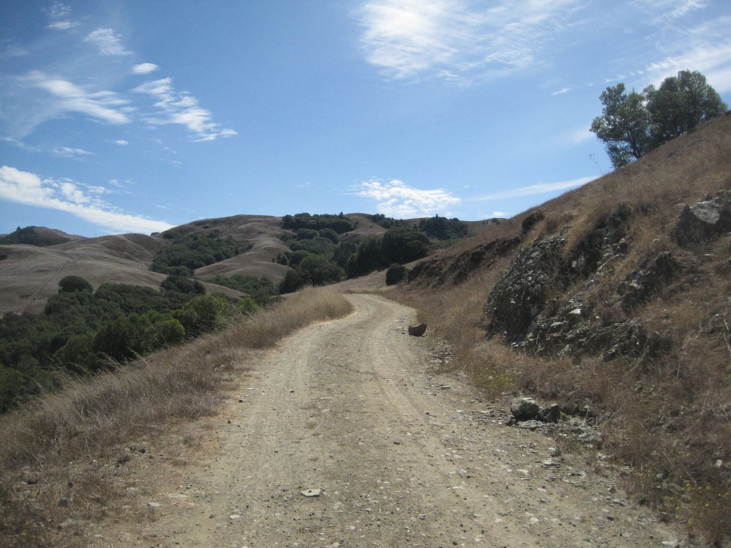 An image depicting the trail Loma Alta via Iris Trail and its surrounding area.