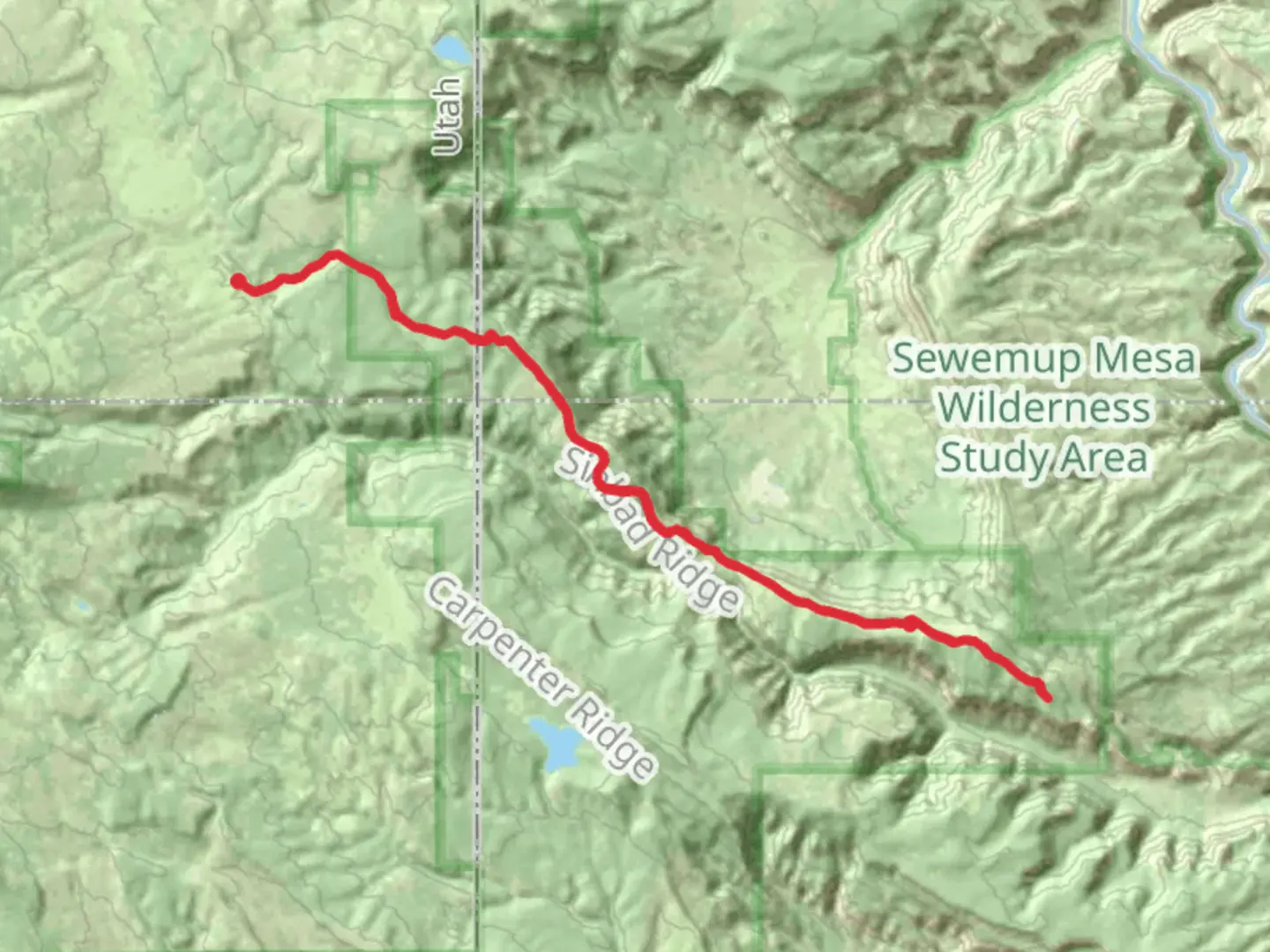 An image depicting the trail Sinbad Ridge Trail and its surrounding area.