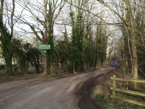 An image depicting the trail Hare Bushes Loop and its surrounding area.