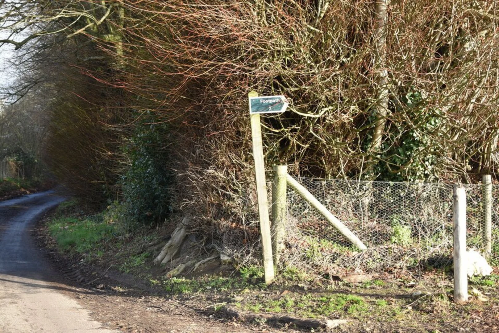 An image depicting the trail Egerton Loop and its surrounding area.