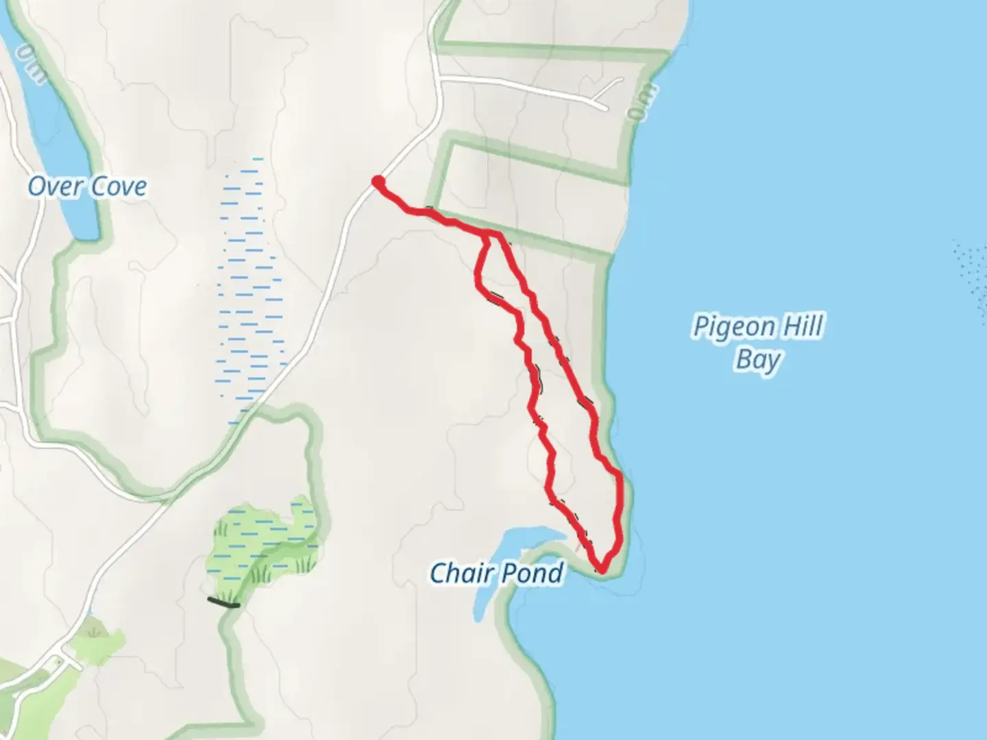 An image depicting the trail Chair Pond Head Loop and its surrounding area.