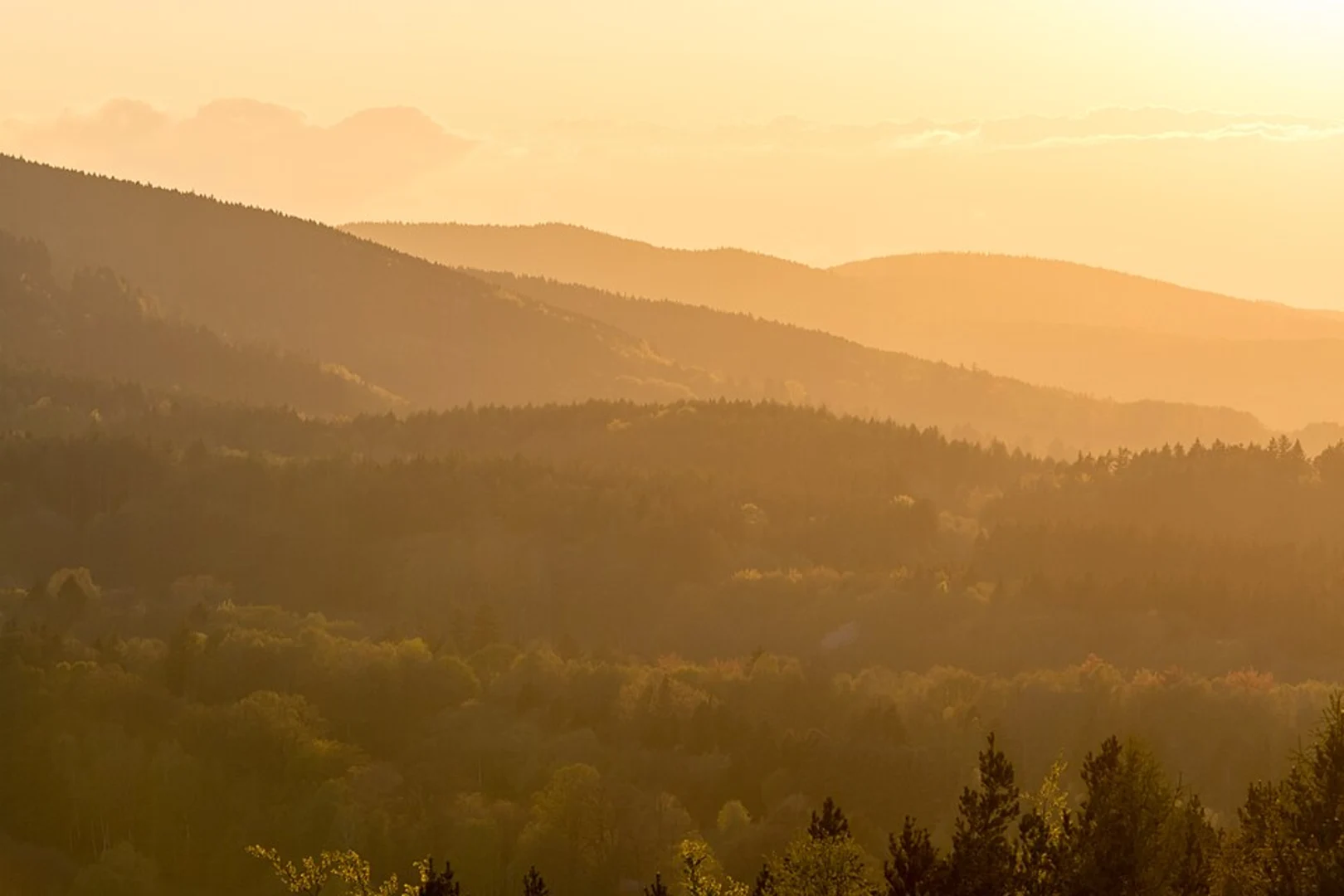 An image depicting the trail Rurtal mit den Felsbildungen der Uhusley Loop - Hammer and its surrounding area.