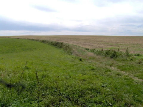 Liddington Hill Loop
