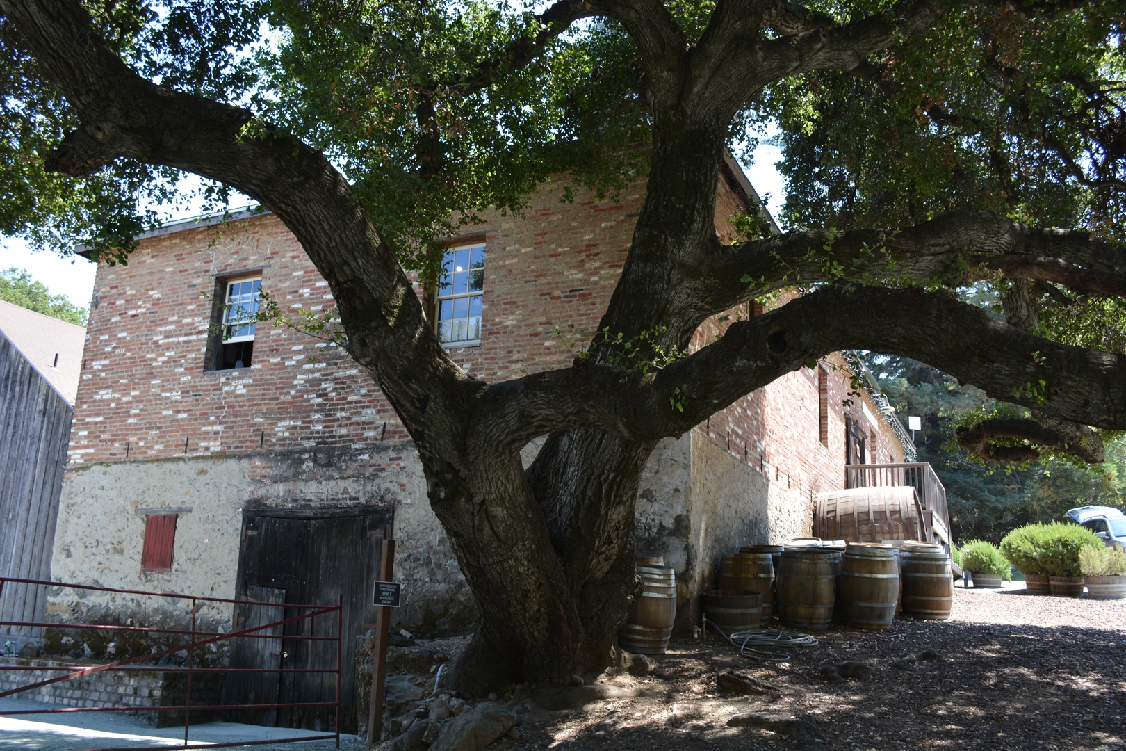 An image depicting the trail Zinfandel Trail and its surrounding area.