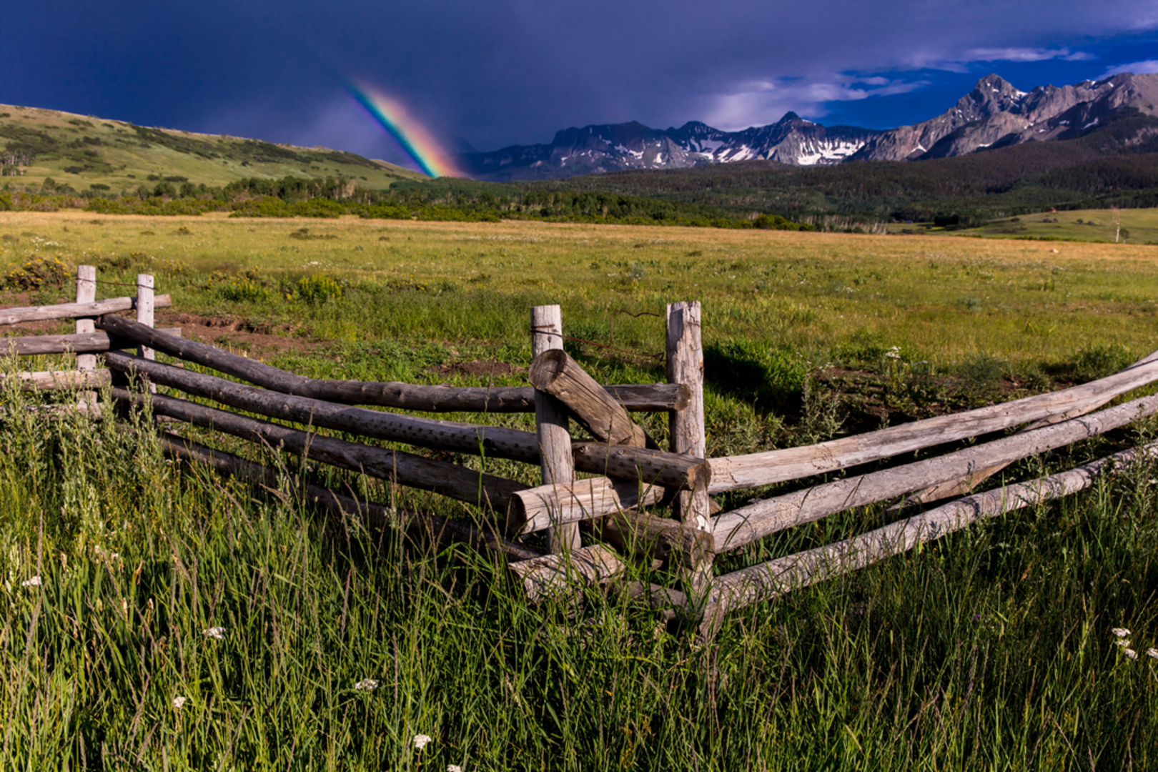 An image depicting the trail Dallas Trail and its surrounding area.