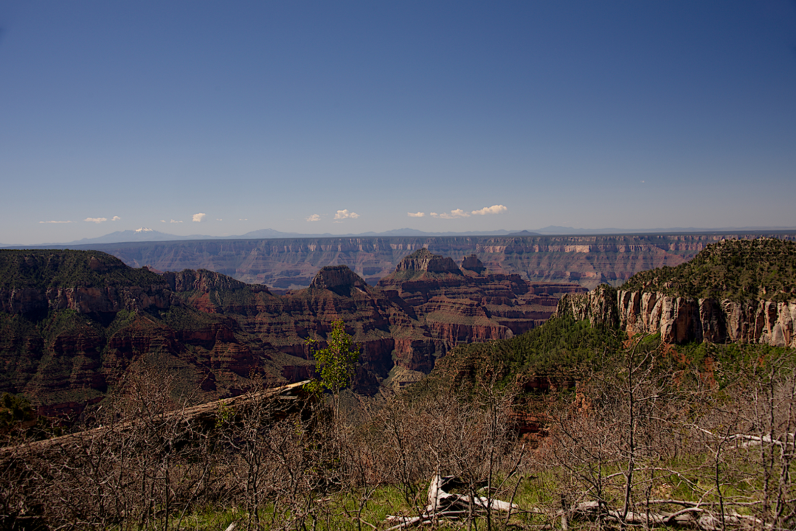 An image depicting the trail Uncle Jim Trail and its surrounding area.