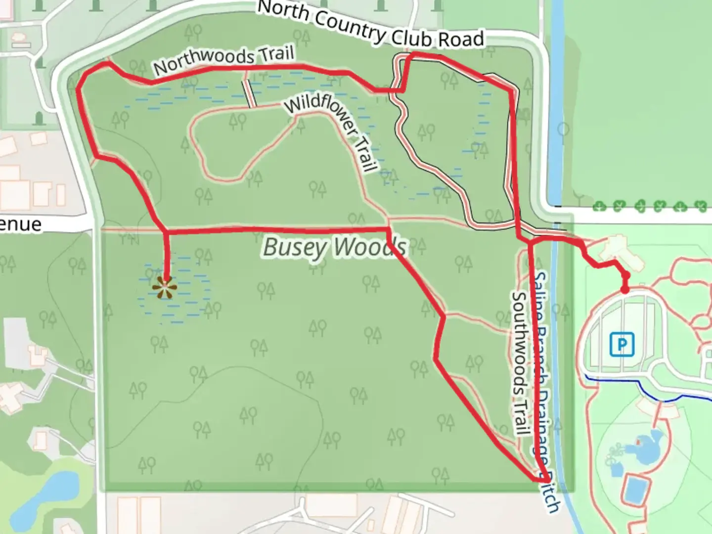 An image depicting the trail Busey Woods Nature Trail and its surrounding area.