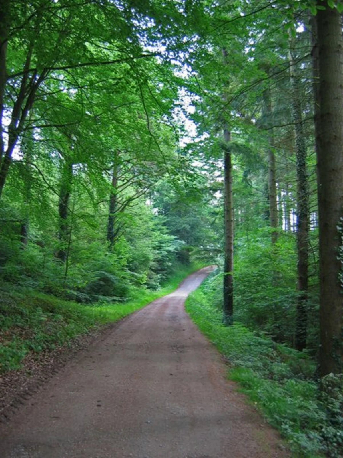 Mulgrave Woods and Mulgrave Castle Loop