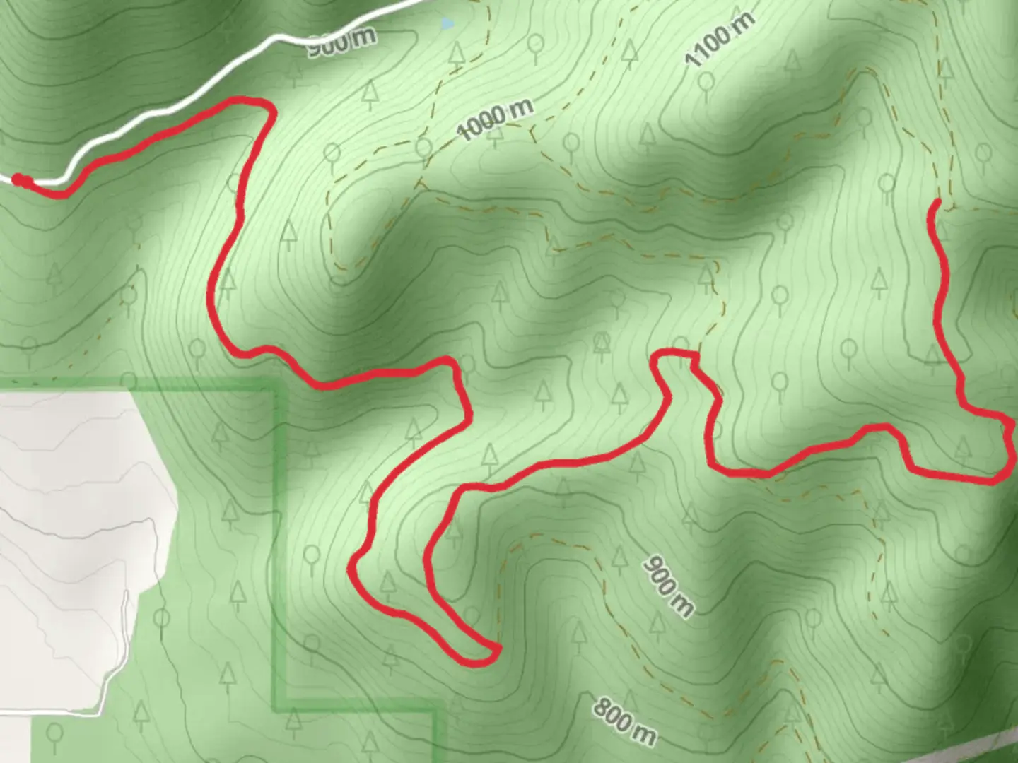 An image depicting the trail Sheldon Mountain B Trail and its surrounding area.