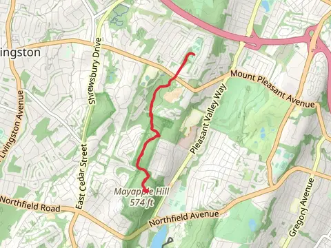 Lenape Trail - Mayapple Hill