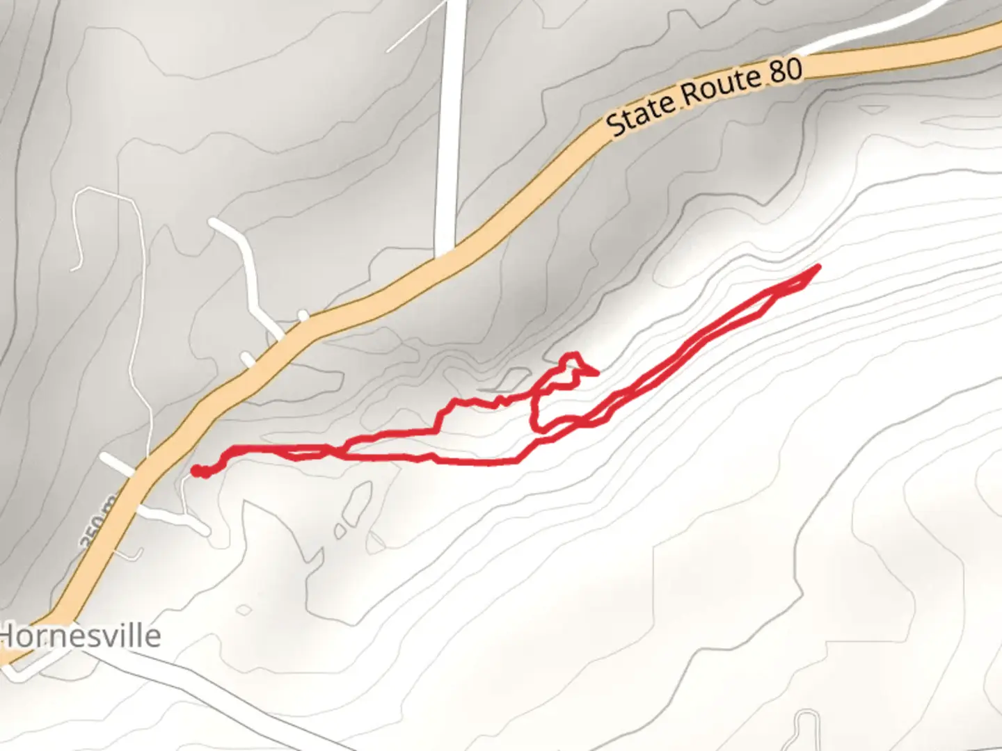 An image depicting the trail Otsquago Creek Loop and its surrounding area.