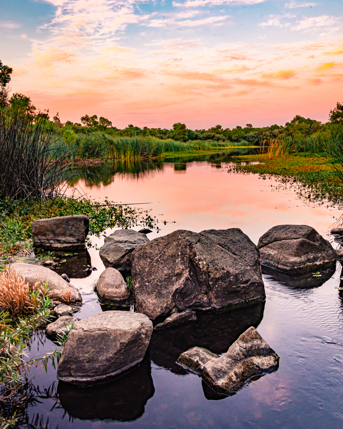Kumeyaay Lake and San Diego River Loop