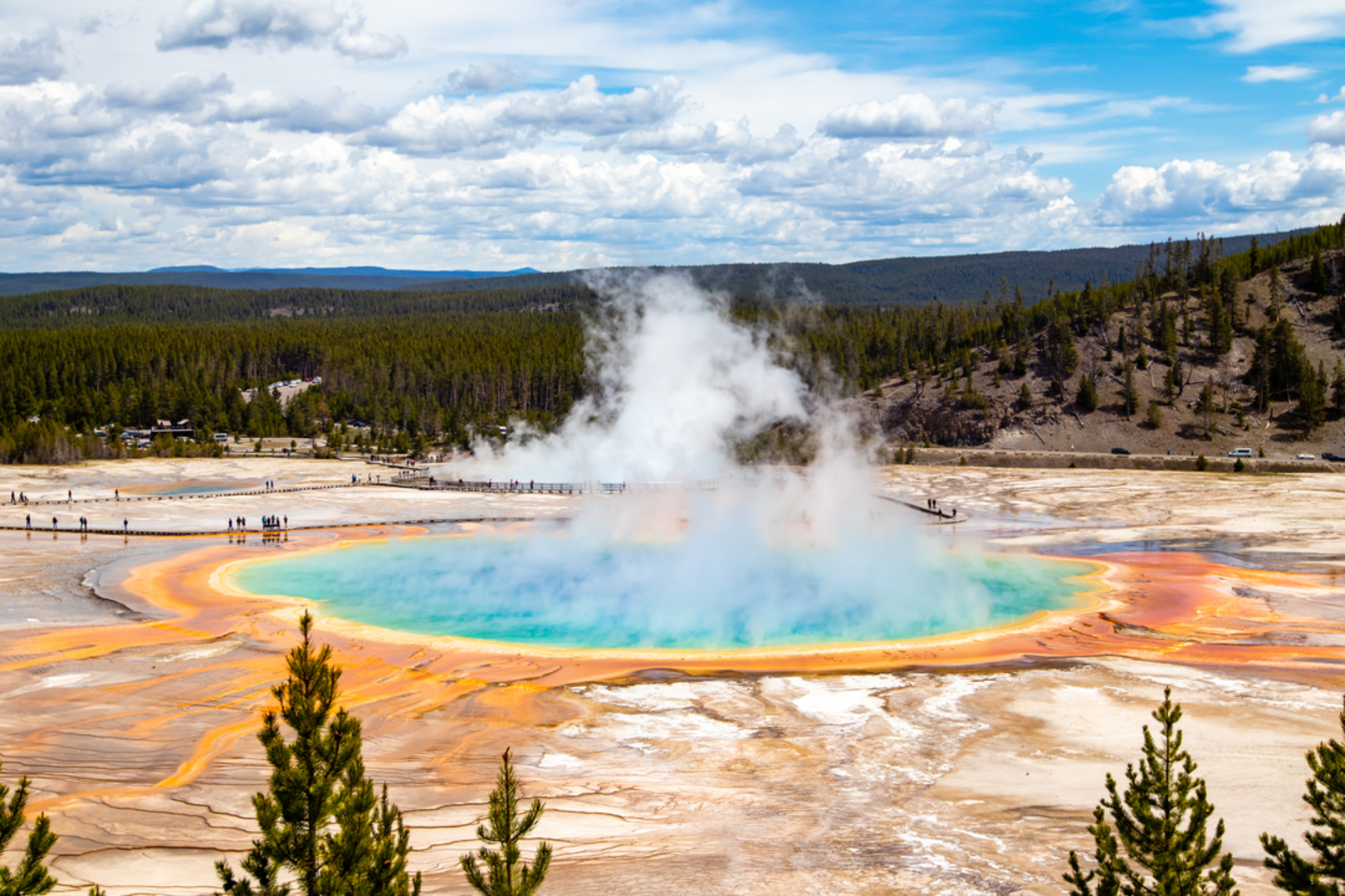 An image depicting the trail Grand Prismatic Overlook Trail and its surrounding area.