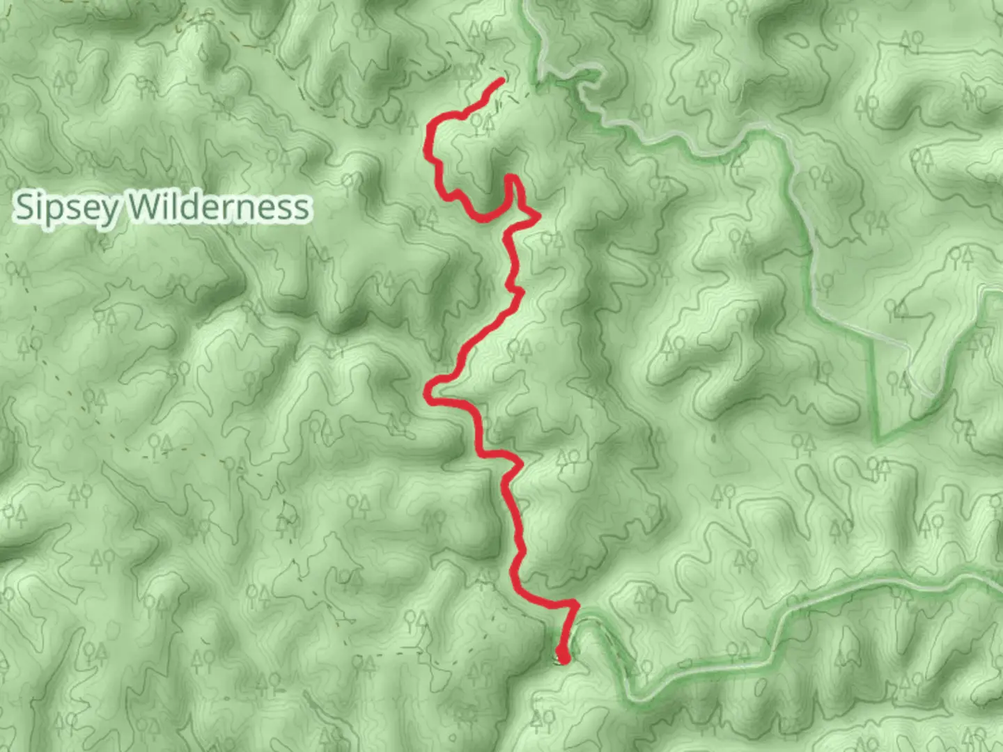 An image depicting the trail Braziel Creek Trail and its surrounding area.