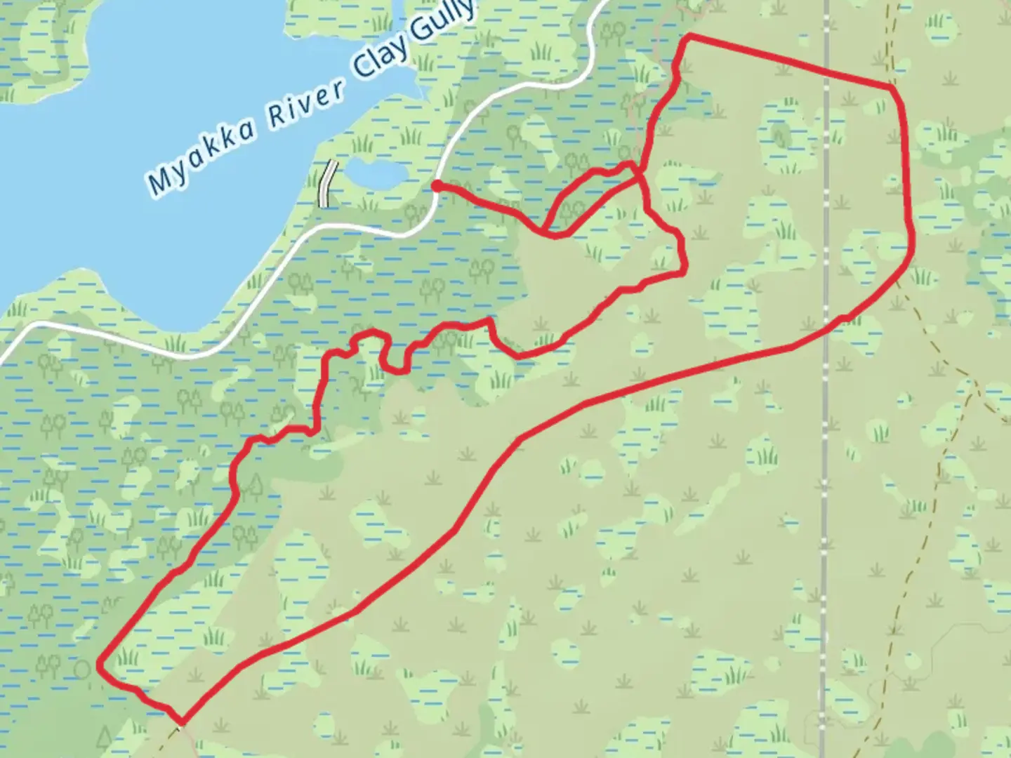 An image depicting the trail Myakka Hiking and Blue Loop Trail and its surrounding area.