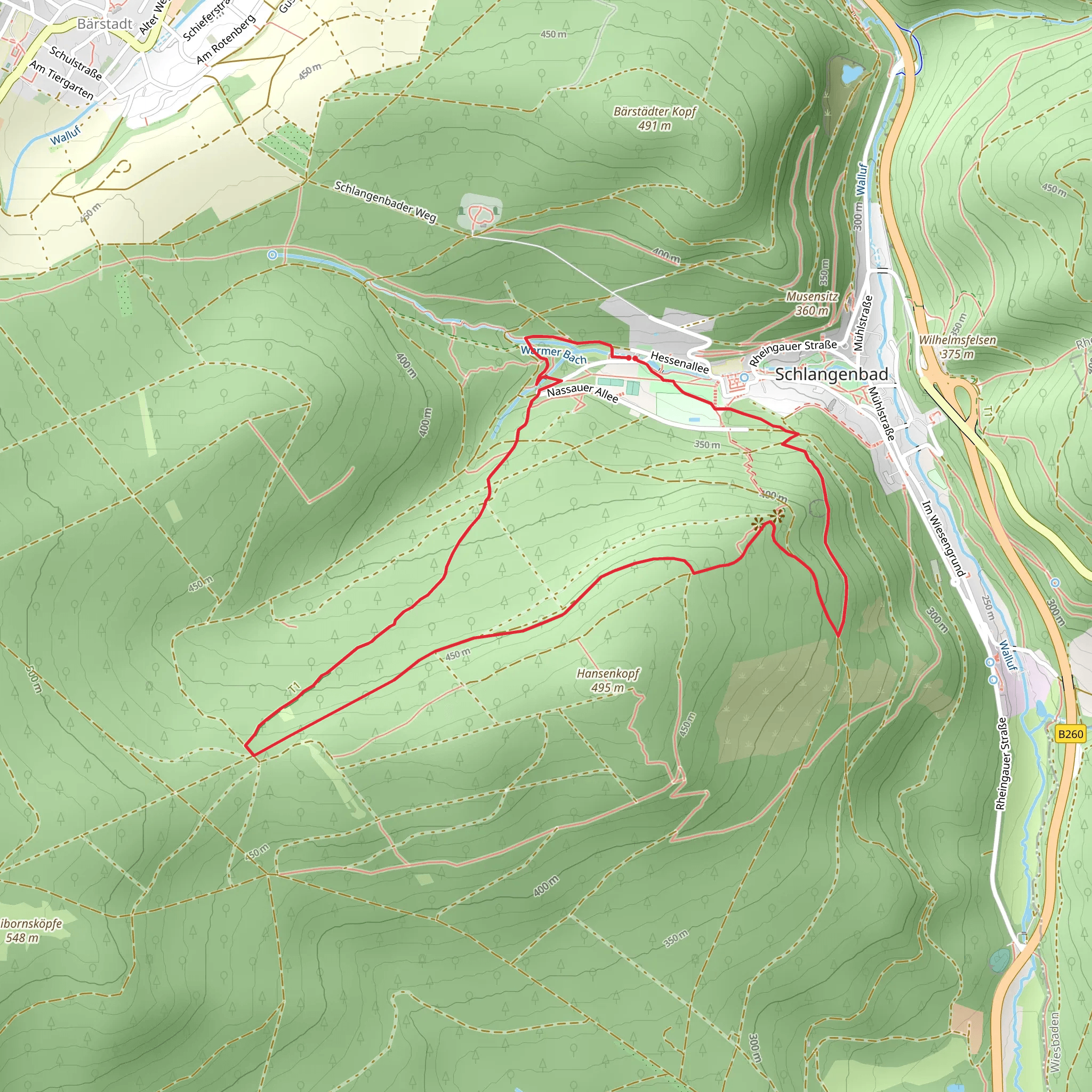 Rundwanderweg Jirschkaefer and Rheingauer Gebuck Loop mobile static map