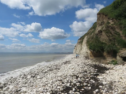 An image depicting the trail Dyke Wood Loop and its surrounding area.