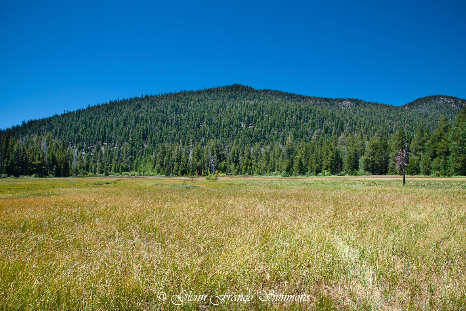 An image depicting the trail Grass Lake from Lily Lake and its surrounding area.