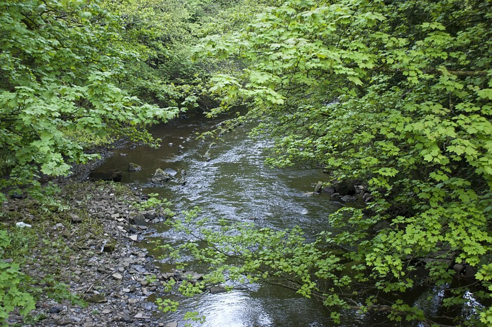 An image depicting the trail Nabs Head and Hoghton Bottoms Loop and its surrounding area.