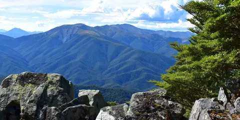 An image depicting the trail Coopers Creek Car Park to Mt Oxford and its surrounding area.
