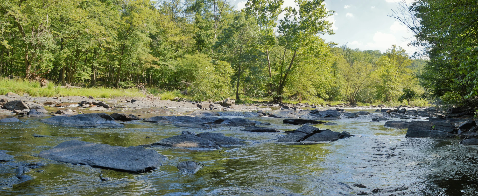An image depicting the trail Walk along Tohickon Creek and its surrounding area.