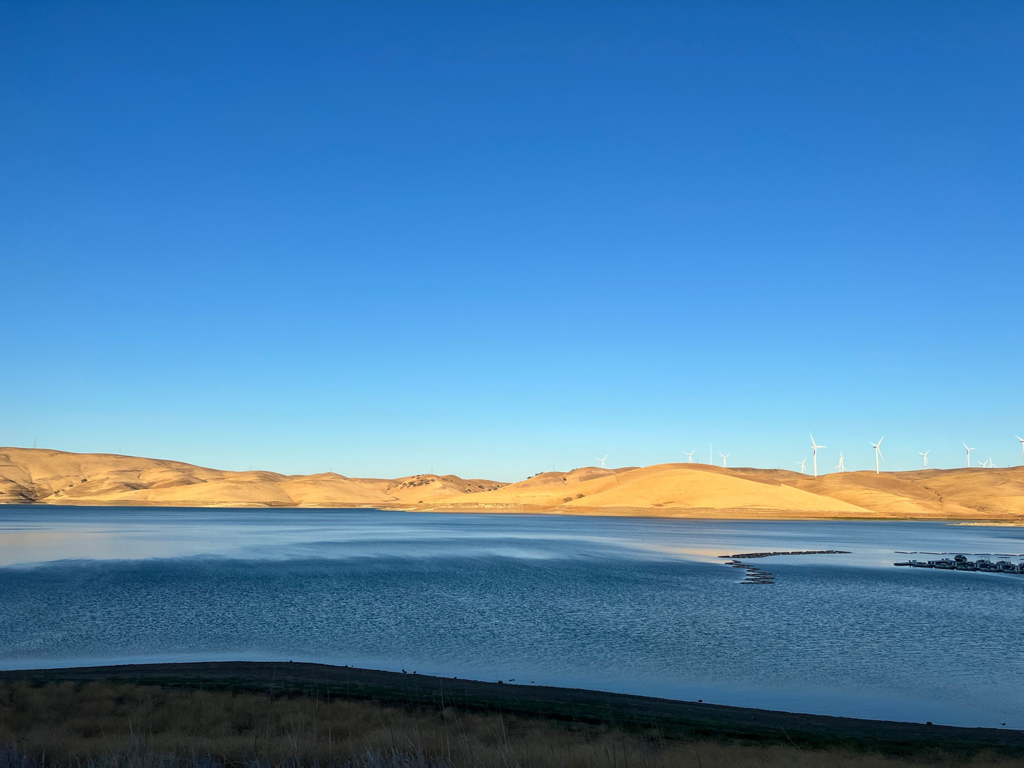 An image depicting the trail Los Vaqueros Reservoir Loop and its surrounding area.