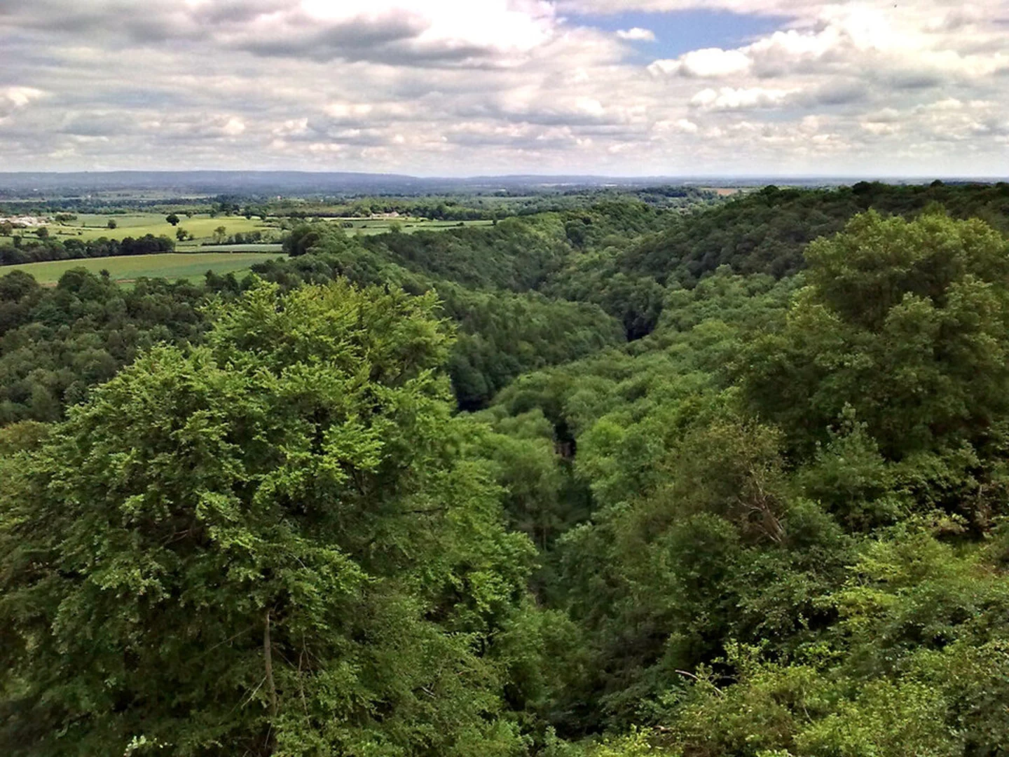 An image depicting the trail Hackfall Woods Loop and its surrounding area.