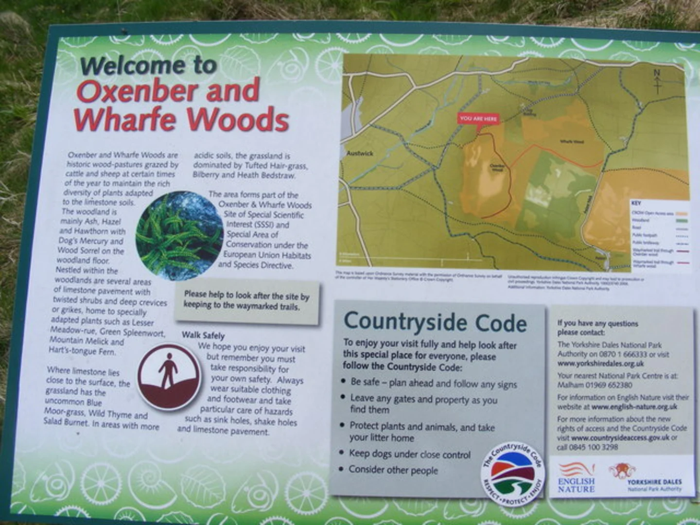 An image depicting the trail Oxenber Wood and New Close Plantation Walk and its surrounding area.