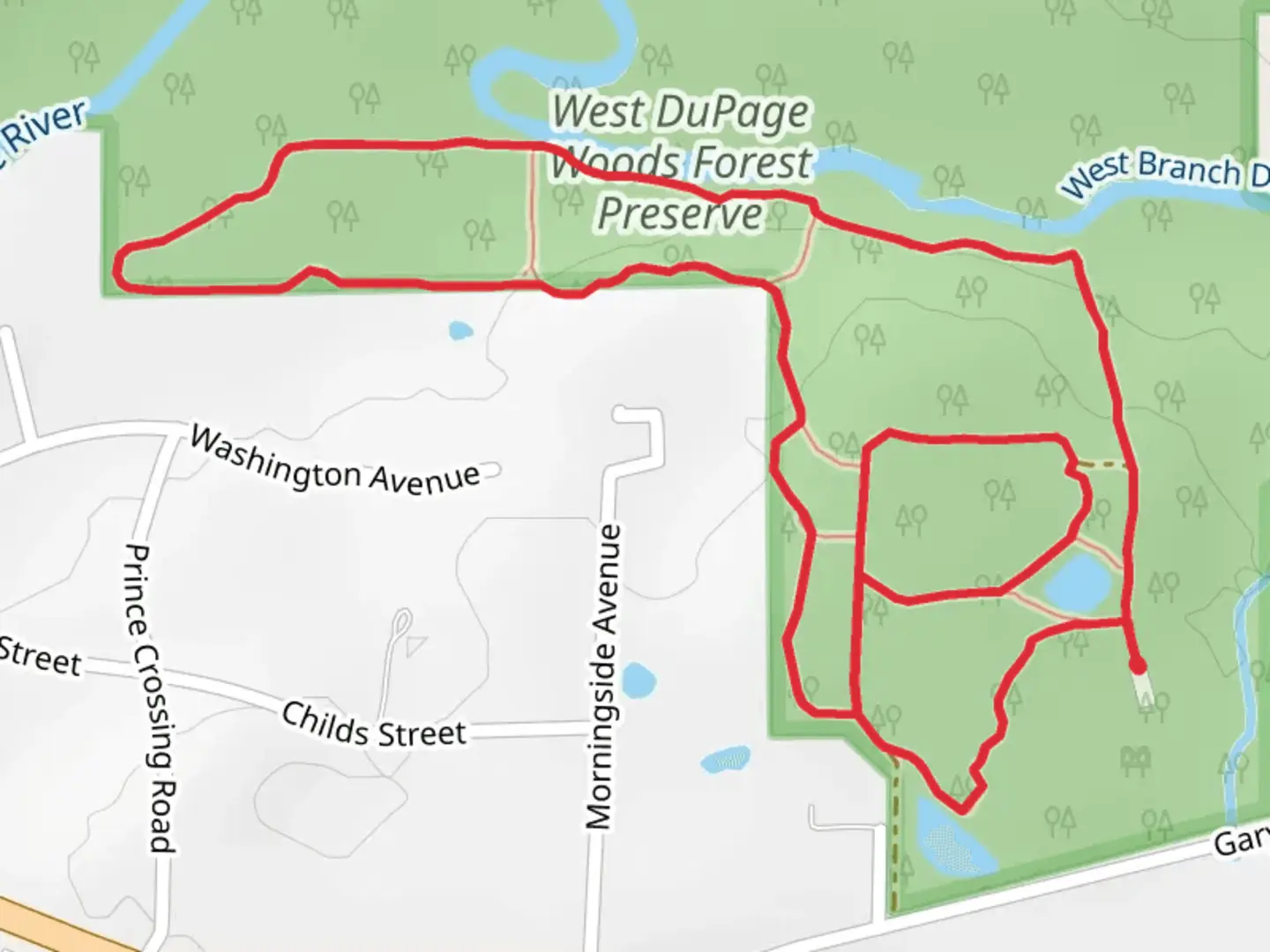 An image depicting the trail Hickory, WIllow and Turtle Pond Loop Trail and its surrounding area.